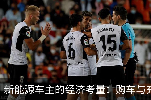 新能源车主的经济考量：购车与充电的真实成本